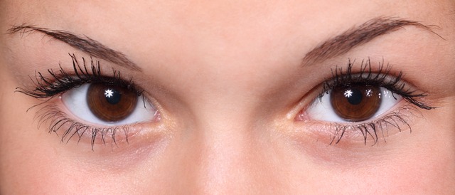 detail hnědých očí